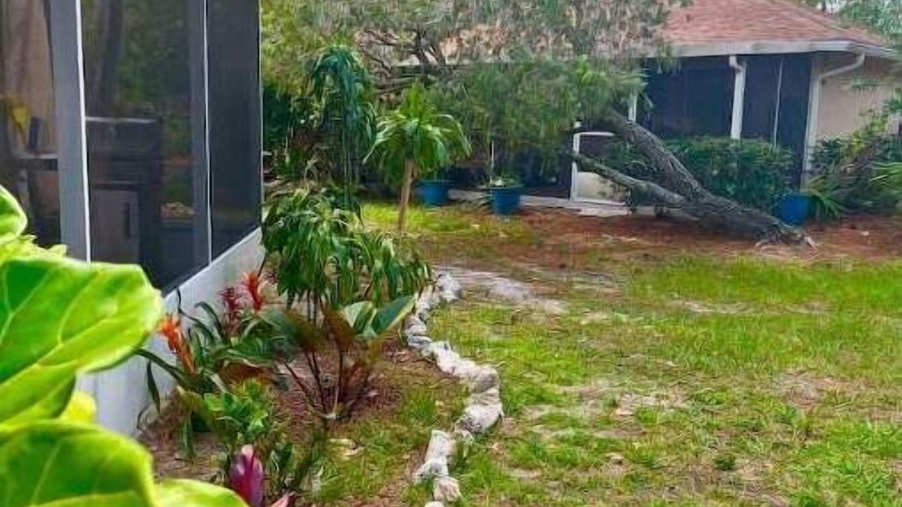 Photo of Outdoor in Park East