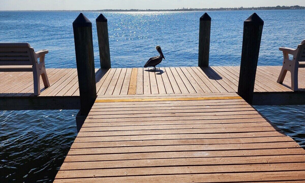 Photo of Others in Jensen Beach