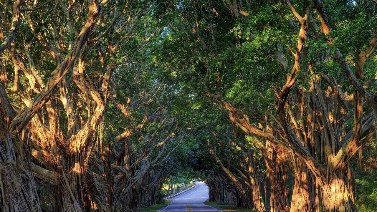 Photo of Others in Hobe Sound