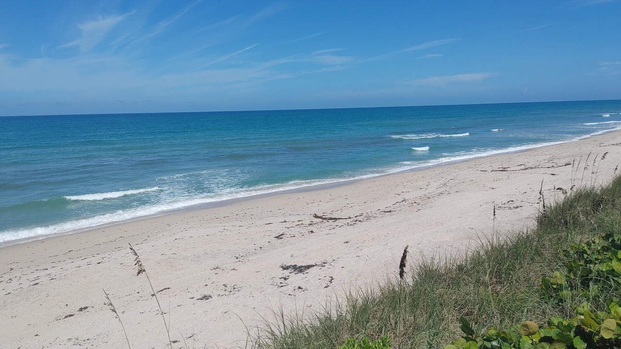 Photo of Others in Melbourne Beach