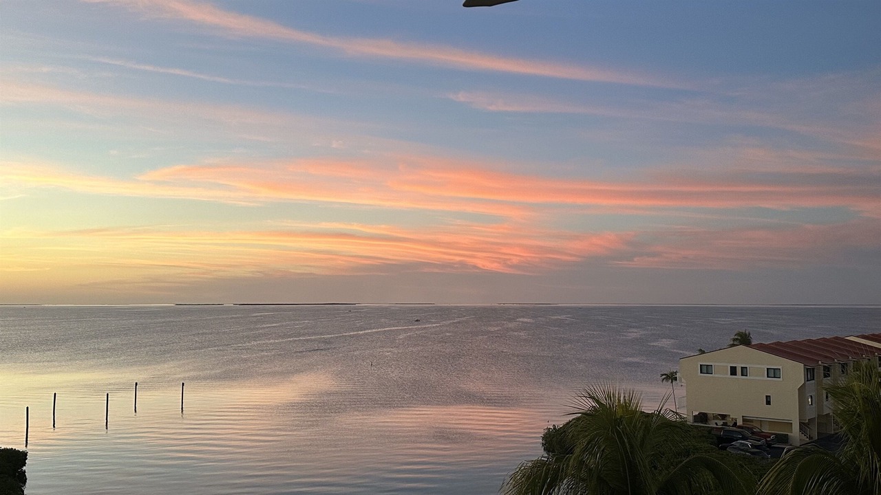 Photo of Others in Islamorada