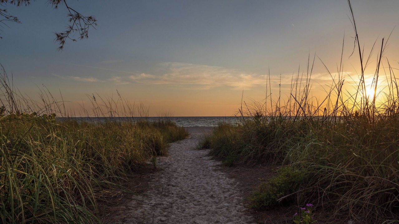 Photo of Others in Nokomis