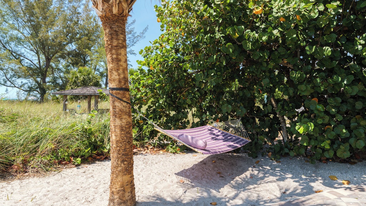 Photo of Outdoor in Nokomis