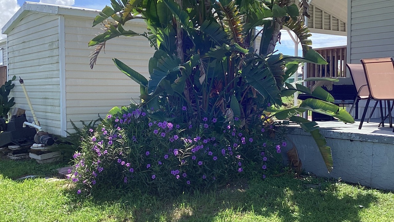 Photo of Outdoor in Taylor Creek