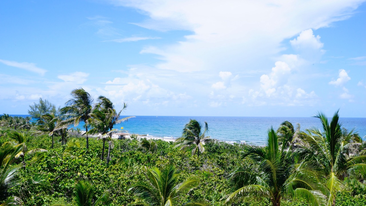Photo of Others in Singer Island