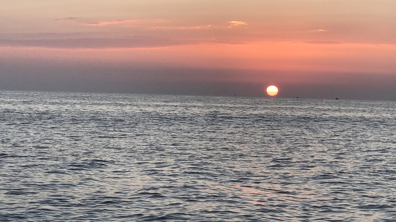Photo of Others in Singer Island