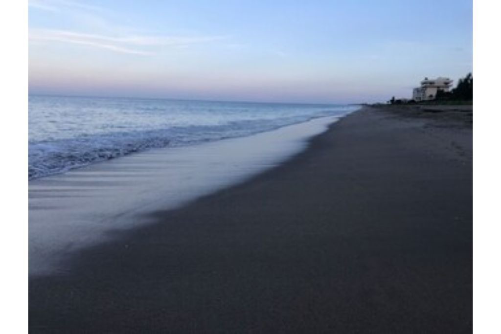 Photo of Others in Hutchinson Island South