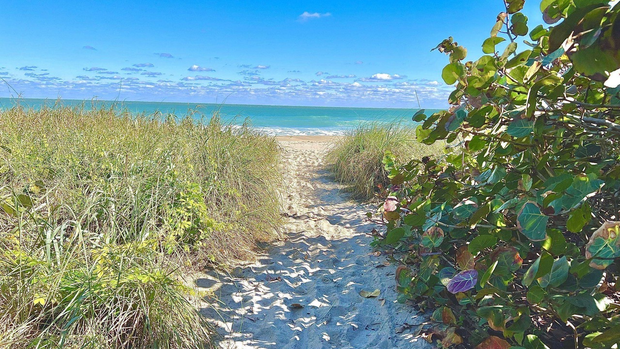 Photo of Others in Jensen Beach