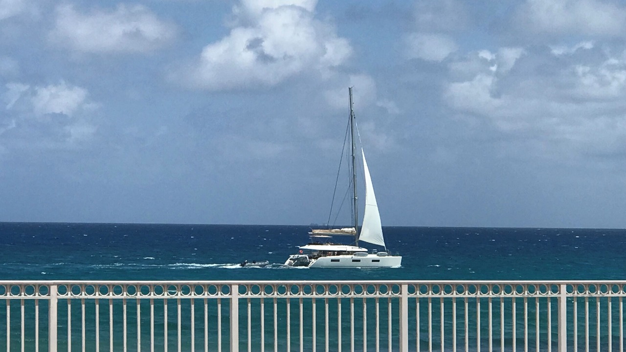 Photo of Outdoor in Palm Beach