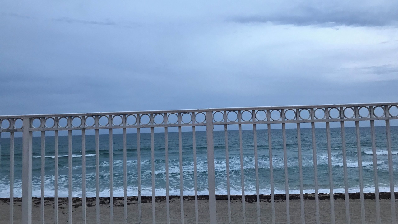 Photo of Others in Palm Beach