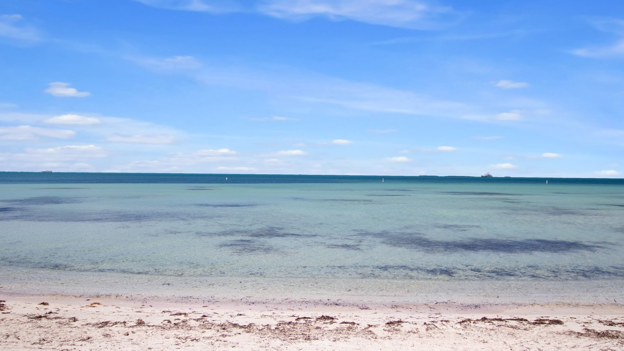 Photo of Others in Lower Matecumbe Key