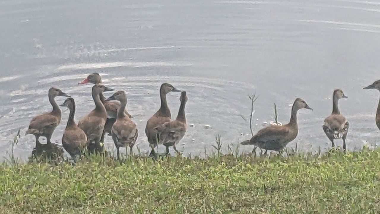 Photo of Outdoor in Port Saint Lucie
