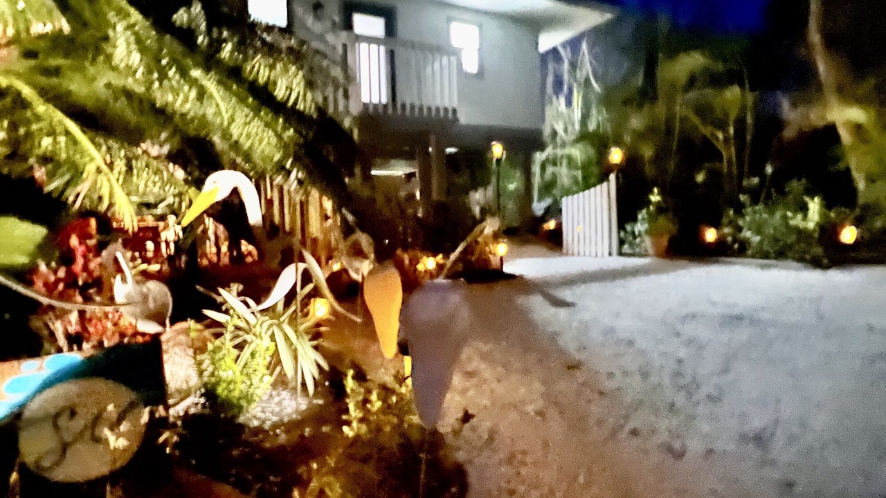 Photo of Outdoor in Safety Harbor Club
