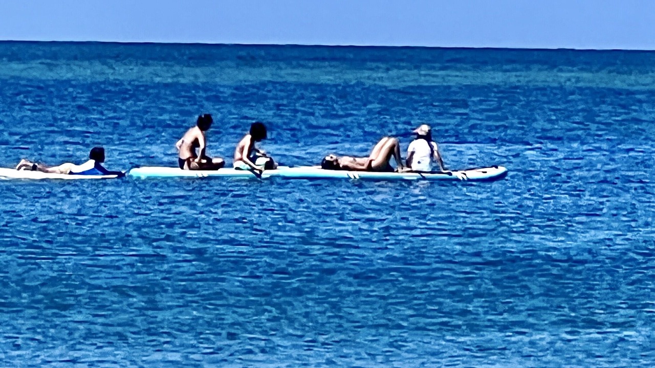 Photo of Others in Safety Harbor Club