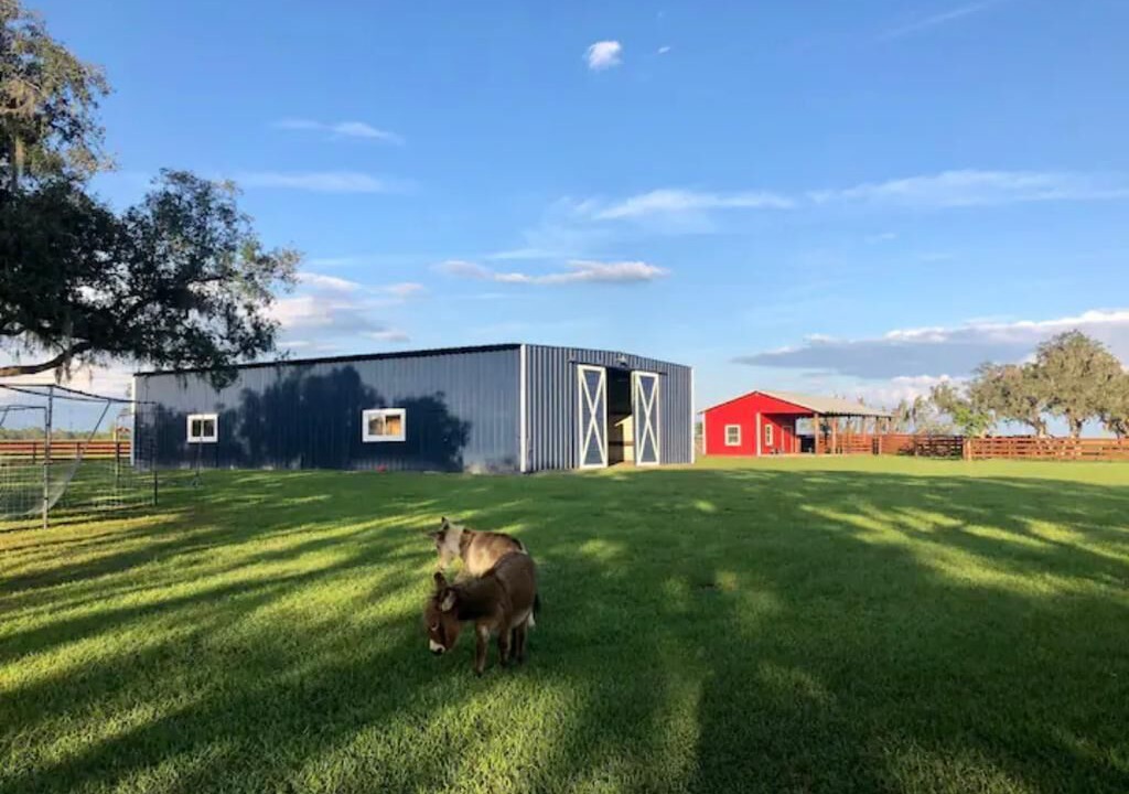 Photo of Outdoor in Lorida