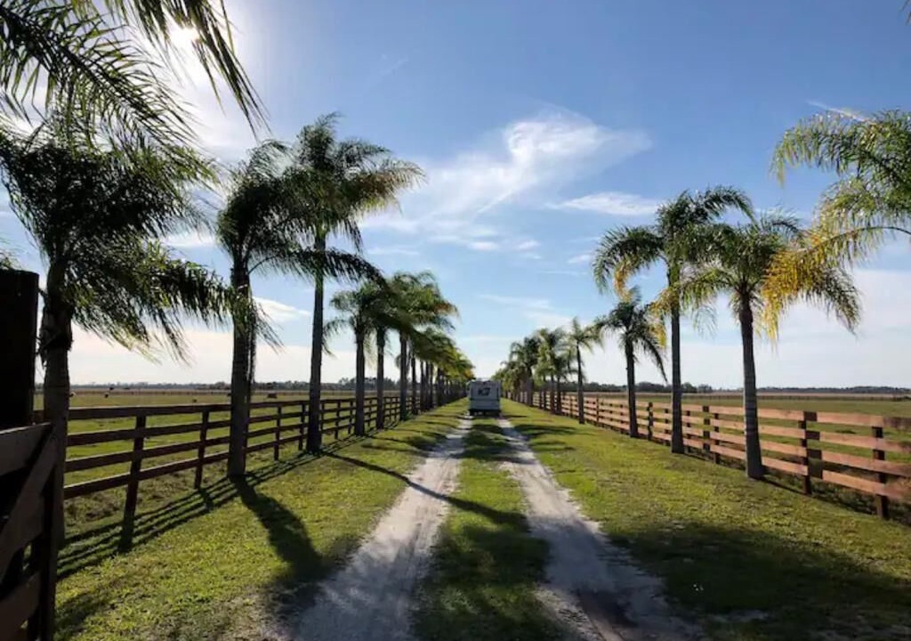 Photo of Outdoor in Lorida