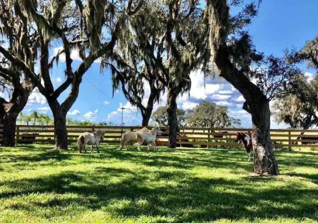 Photo of Outdoor in Lorida