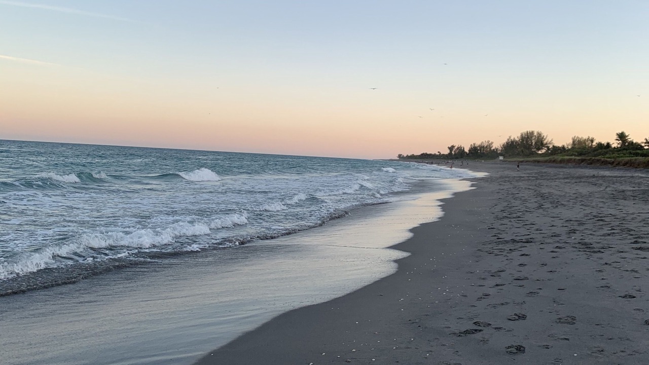 Photo of Others in Hobe Sound