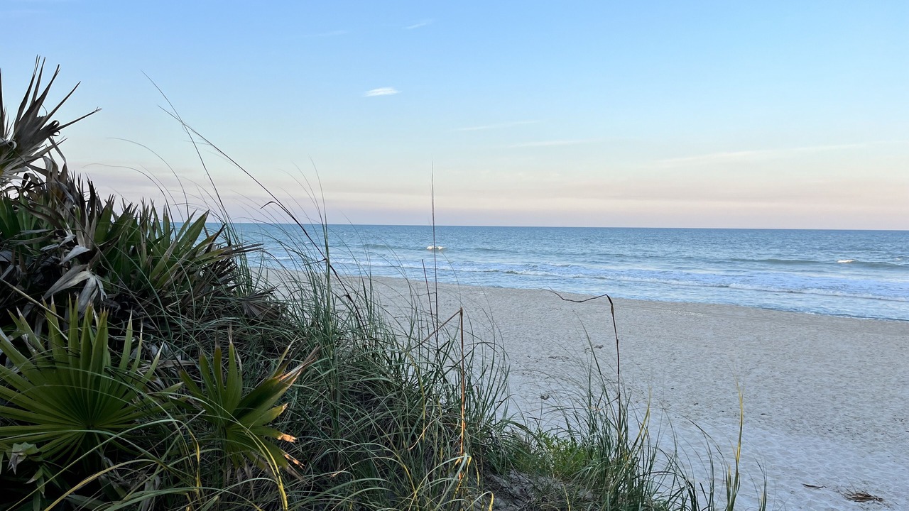 Photo of Others in Melbourne Beach