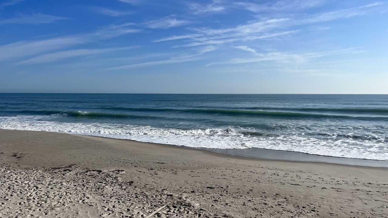Photo of Others in Melbourne Beach