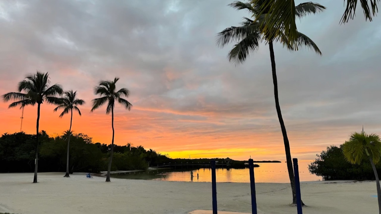 Photo of Others in Tavernier