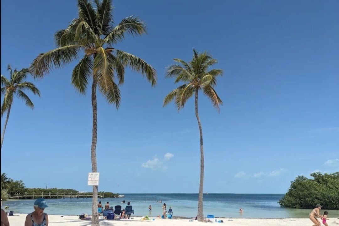Photo of Others in Tavernier