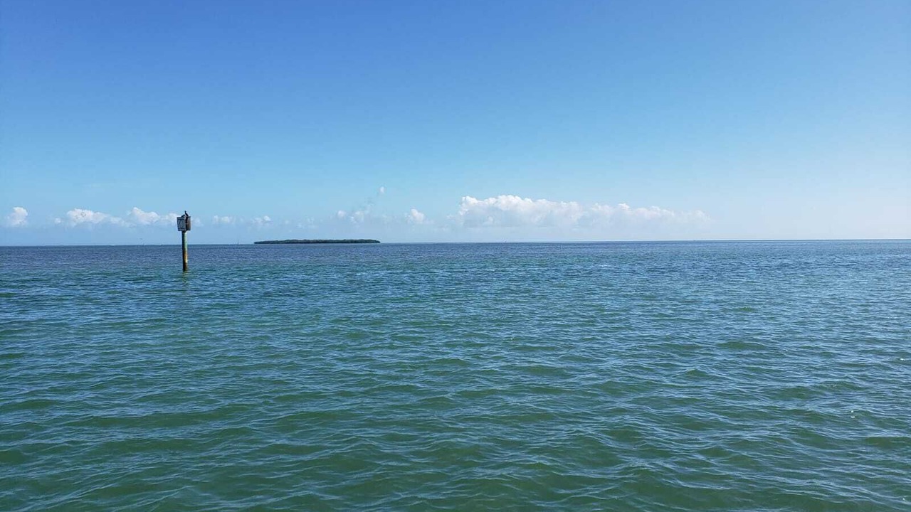 Photo of Others in Tavernier