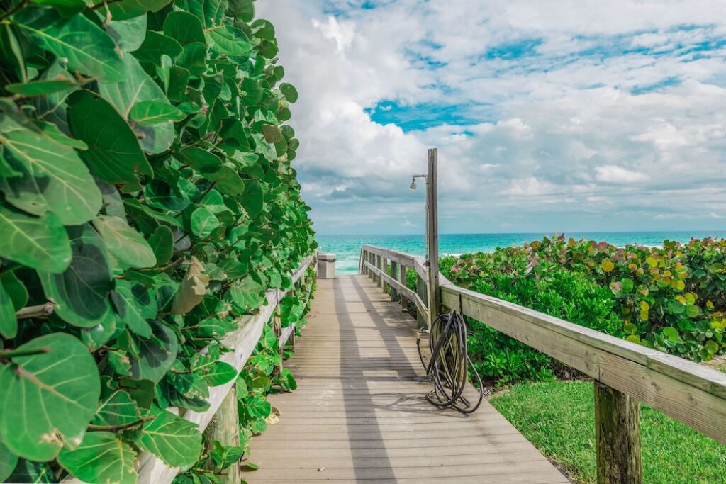 Photo of Others in Hutchinson Island South