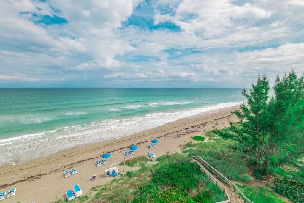 Photo of Others in Hutchinson Island South