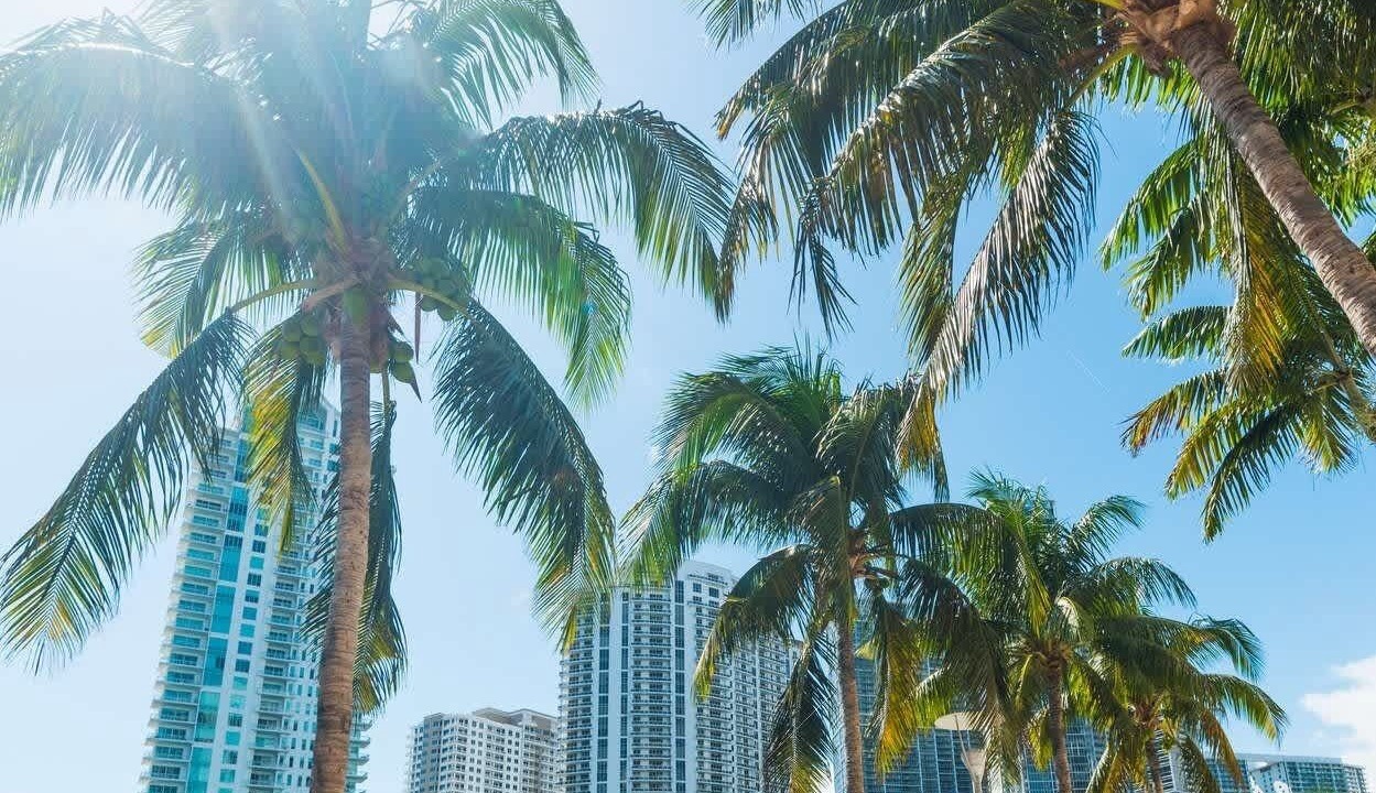 Photo of Others in Northeast Miami