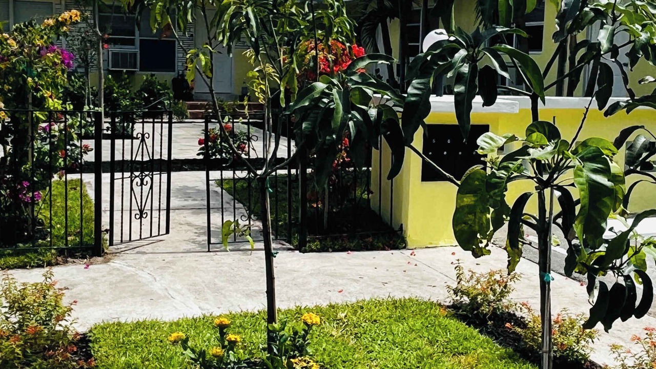 Photo of Outdoor in Northeast Miami