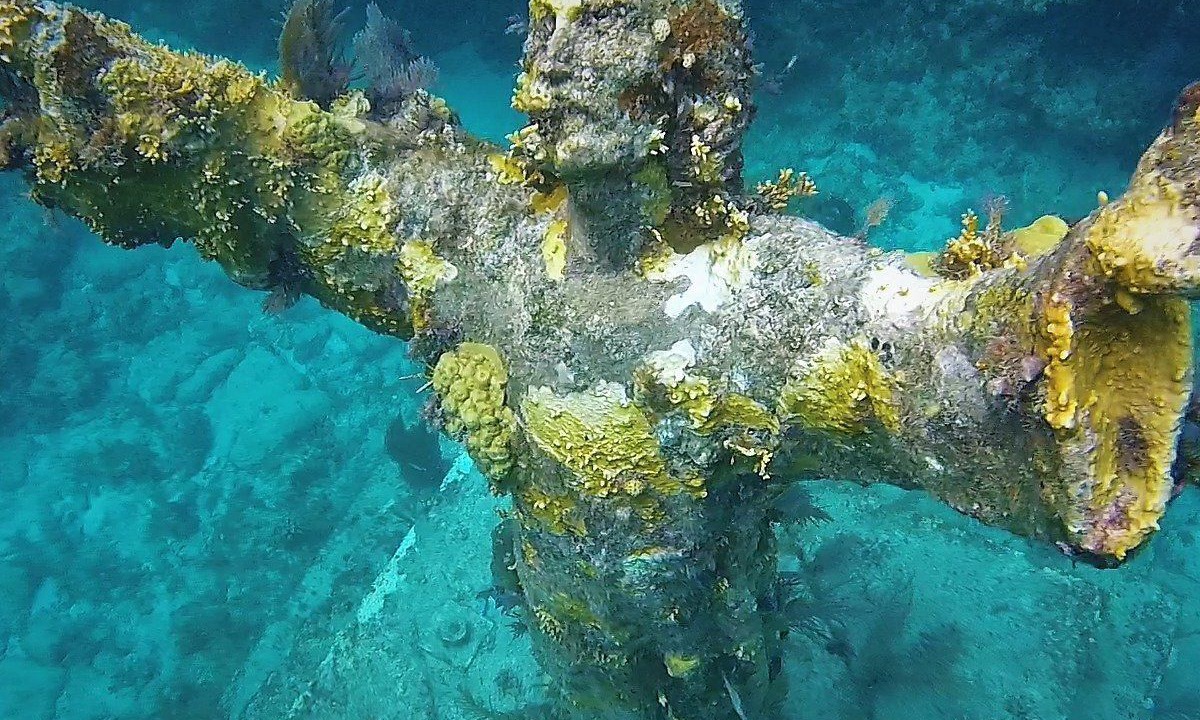 Photo of Outdoor in Key Largo
