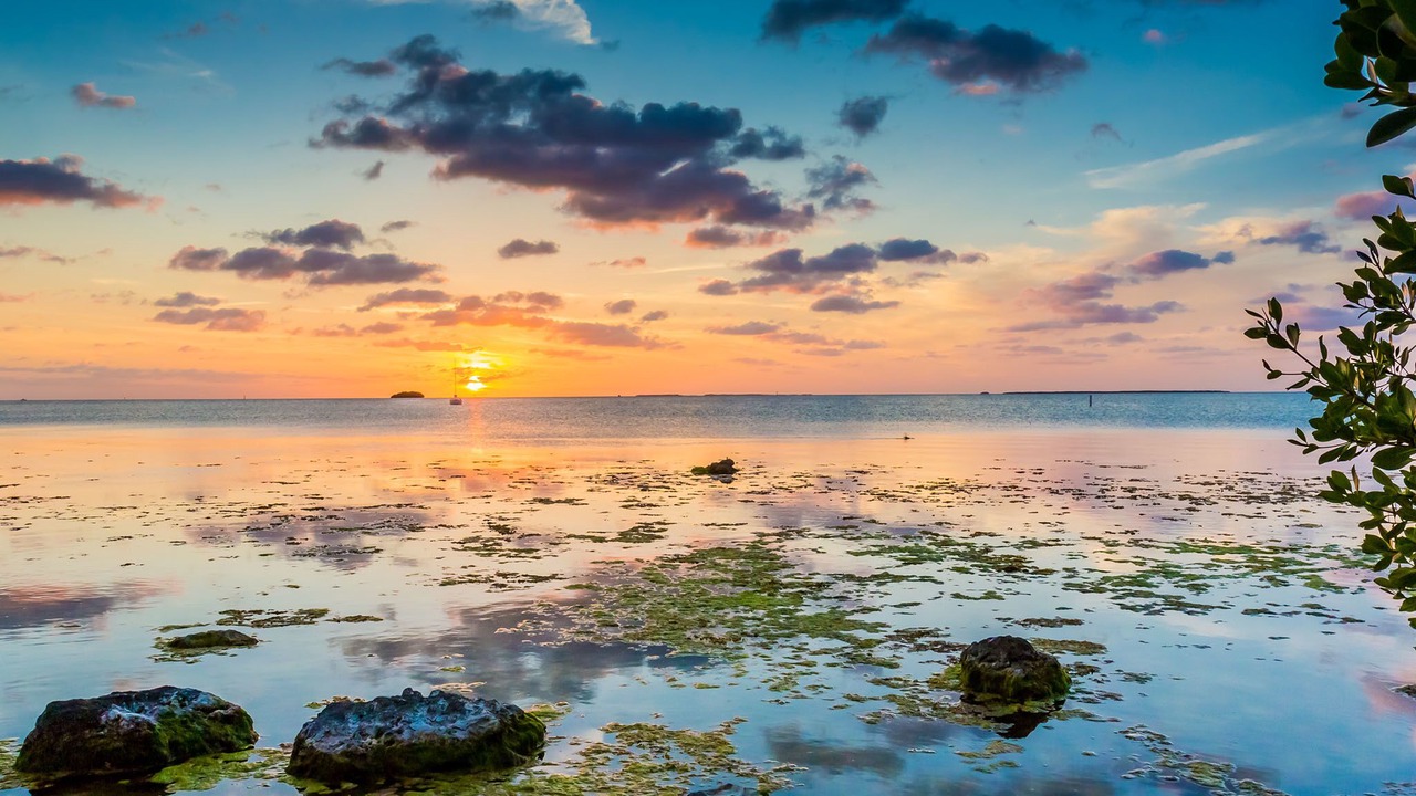 Photo of Others in Key Largo