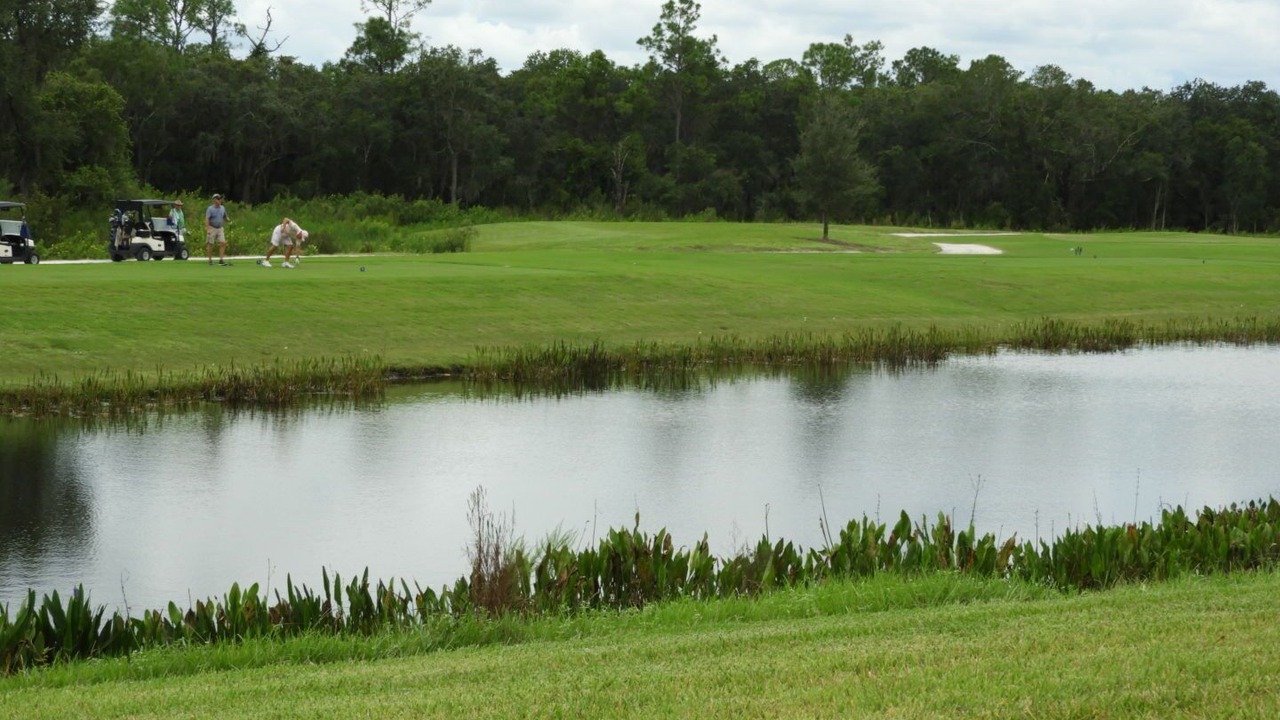 Photo of Others in Lakewood Ranch