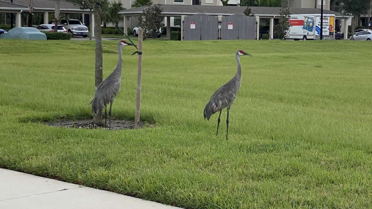 Photo of Outdoor in Lakewood Ranch