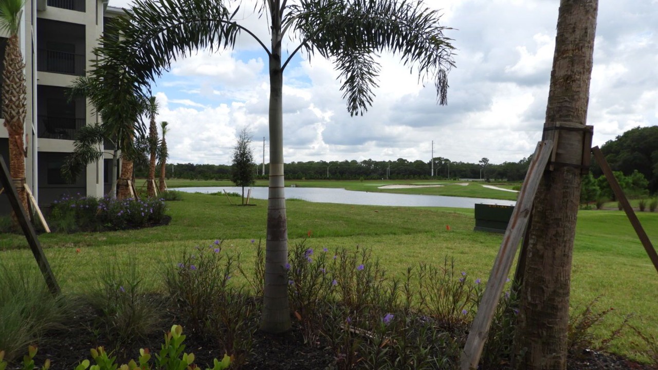 Photo of Outdoor in Lakewood Ranch