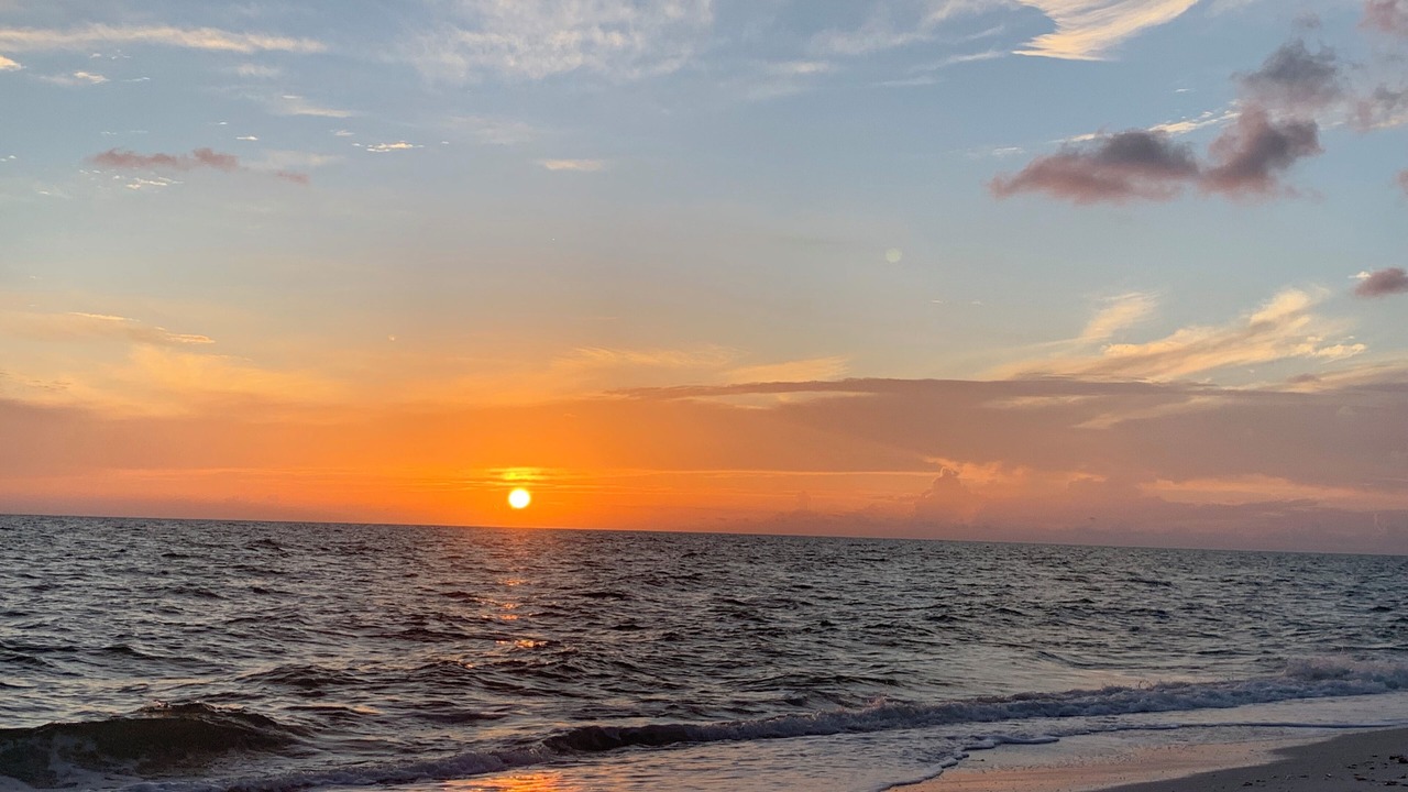 Photo of Others in Bonita Springs