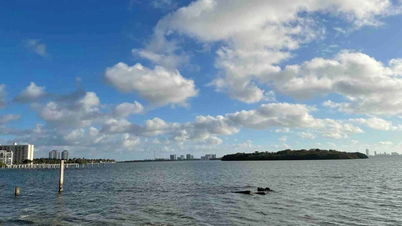 Photo of Others in Northeast Miami