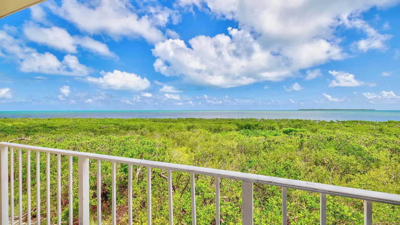 Photo of Outdoor in Tavernier