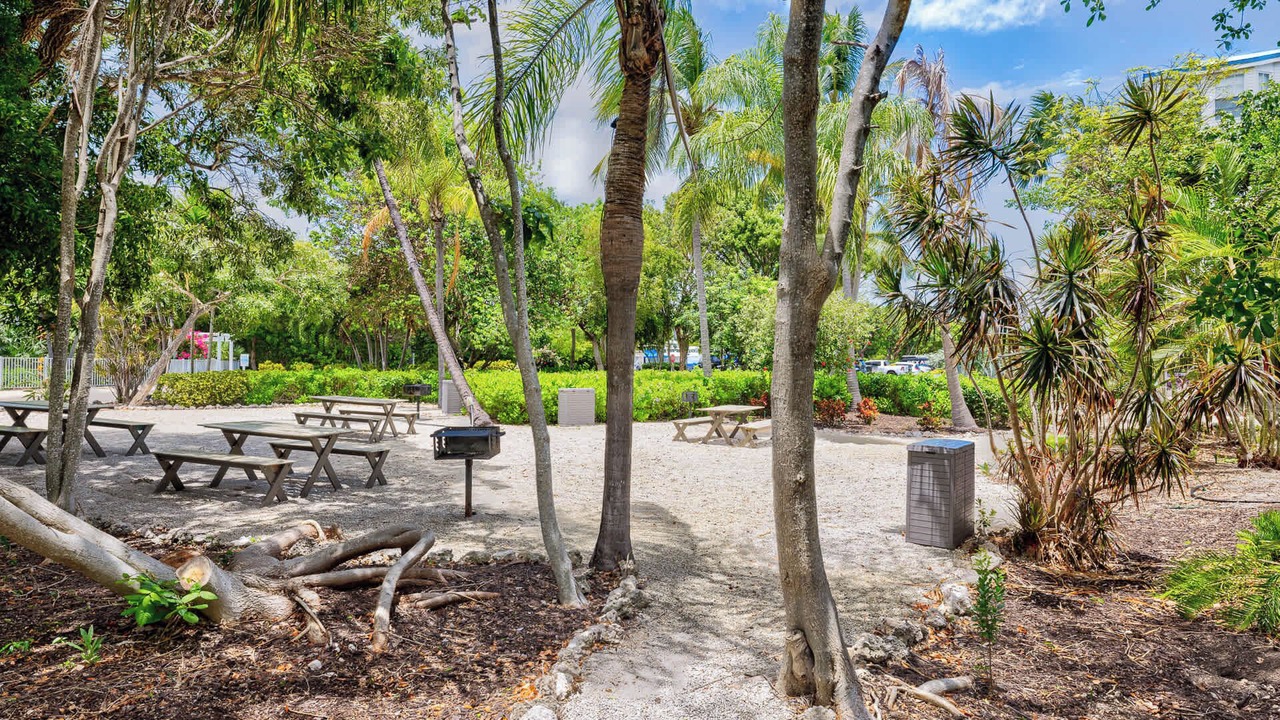 Photo of Outdoor in Tavernier