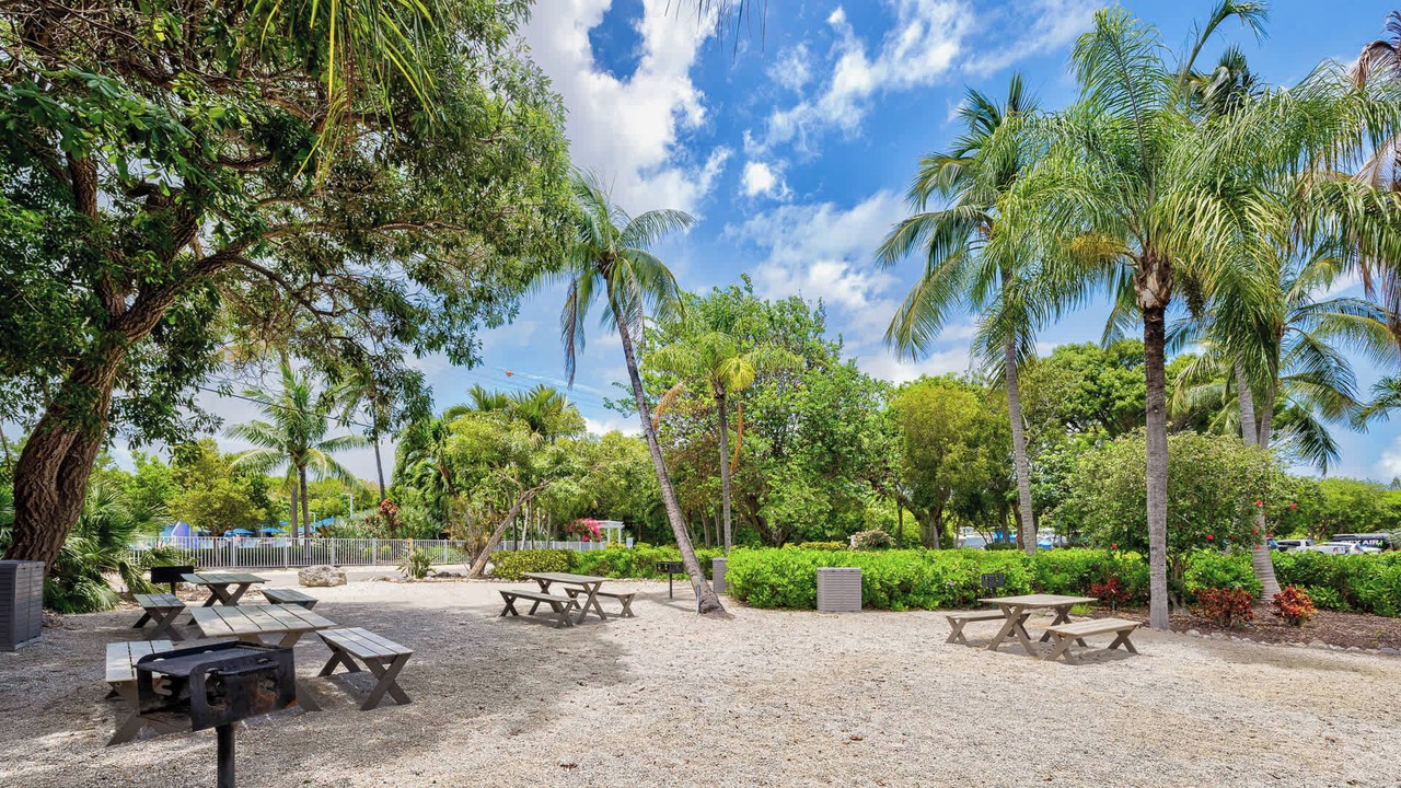 Photo of Outdoor in Tavernier