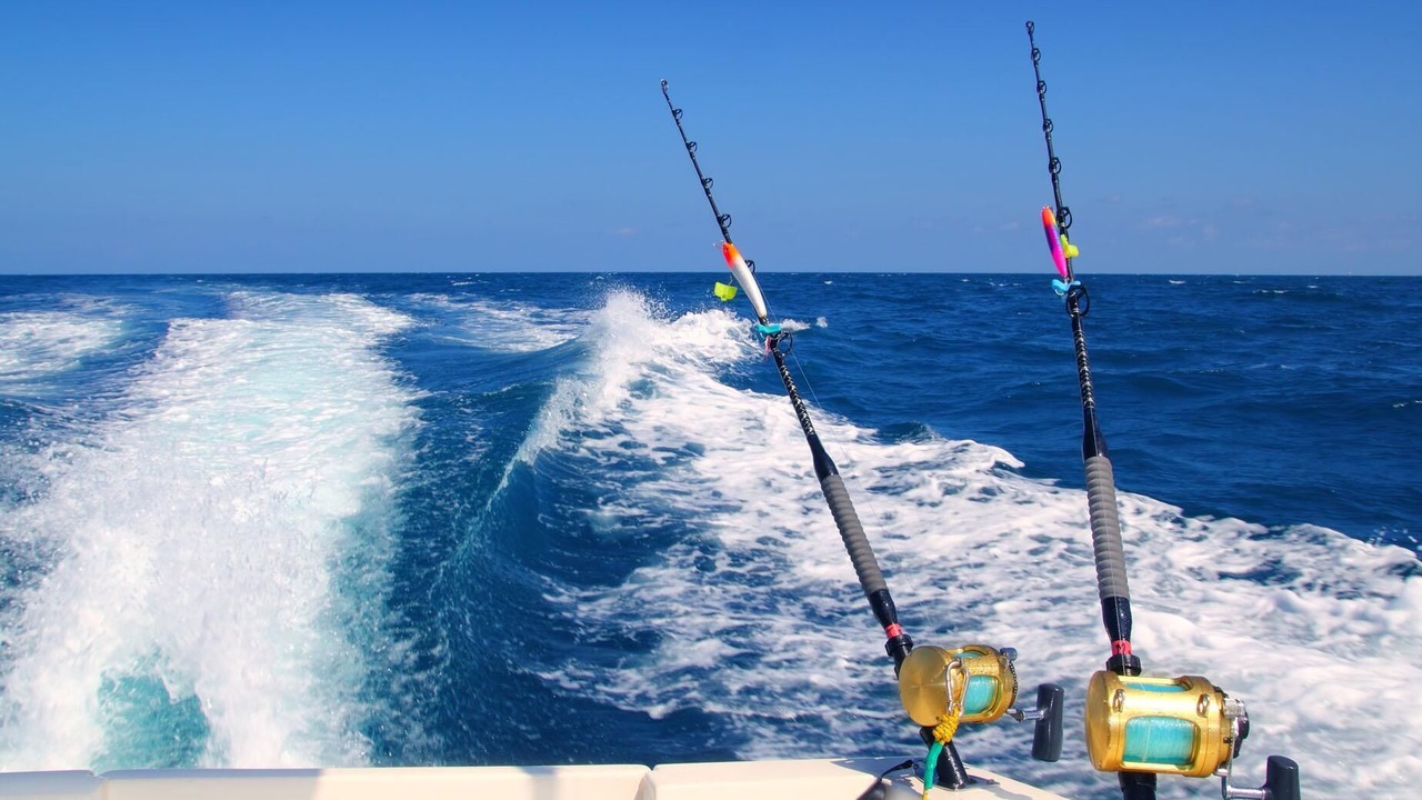 Photo of Others in Palm Bay