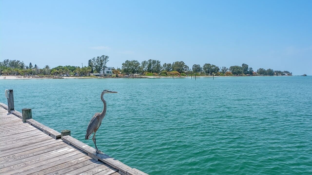 Photo of Outdoor in Bradenton
