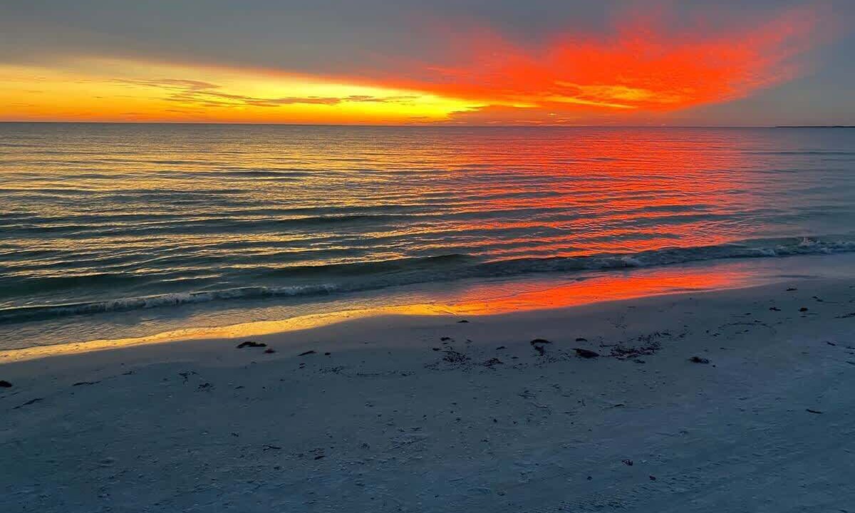 Photo of Others in Fort Myers Beach