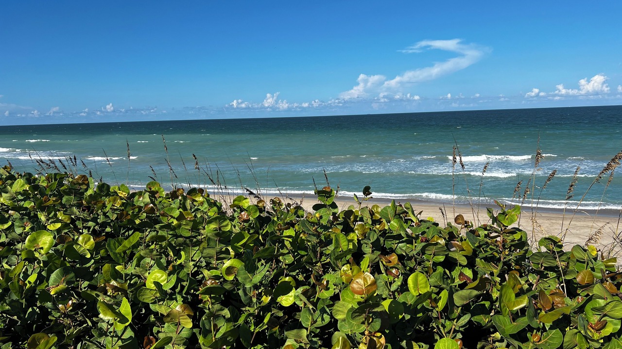 Photo of Others in Stuart