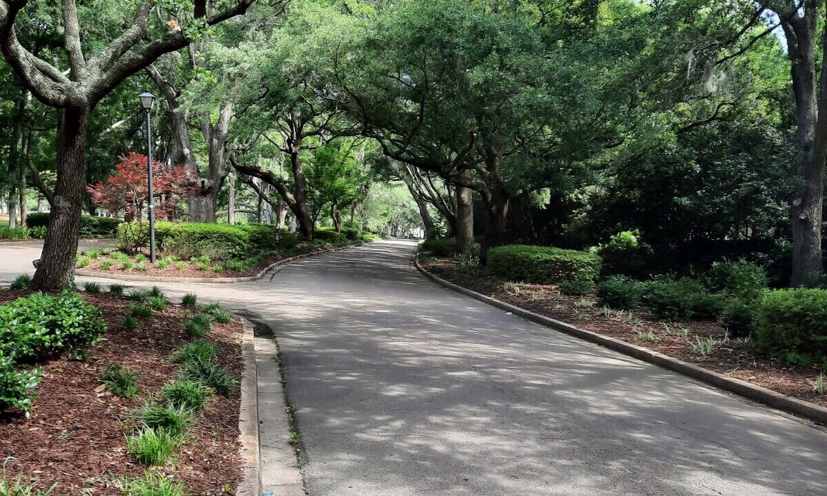 Photo of Outdoor in Mount Pleasant