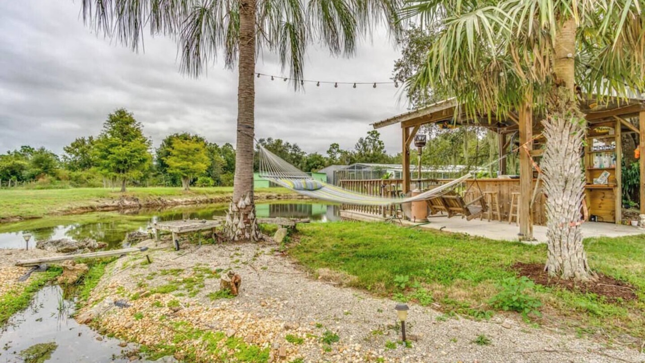 Photo of Outdoor in Punta Gorda