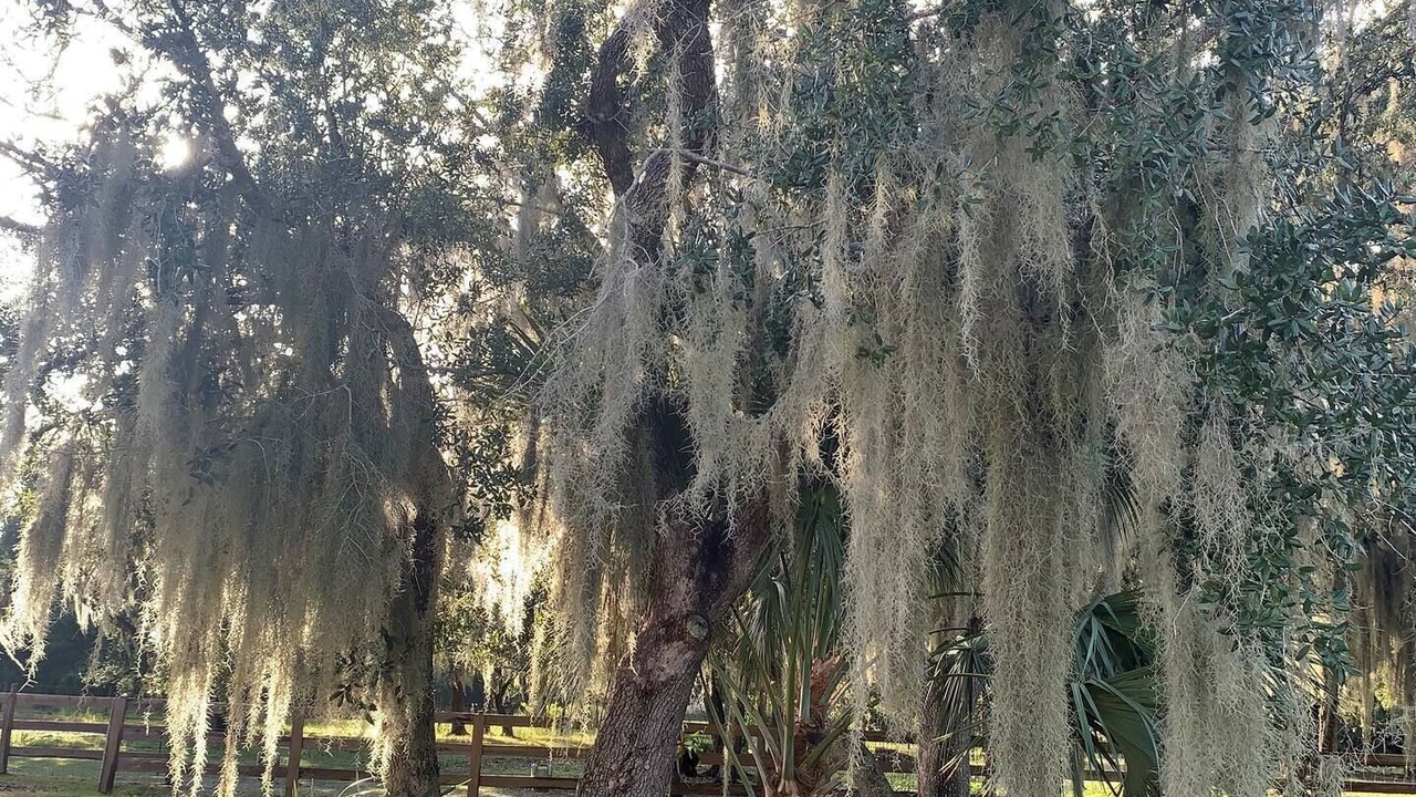 Photo of Outdoor in Punta Gorda