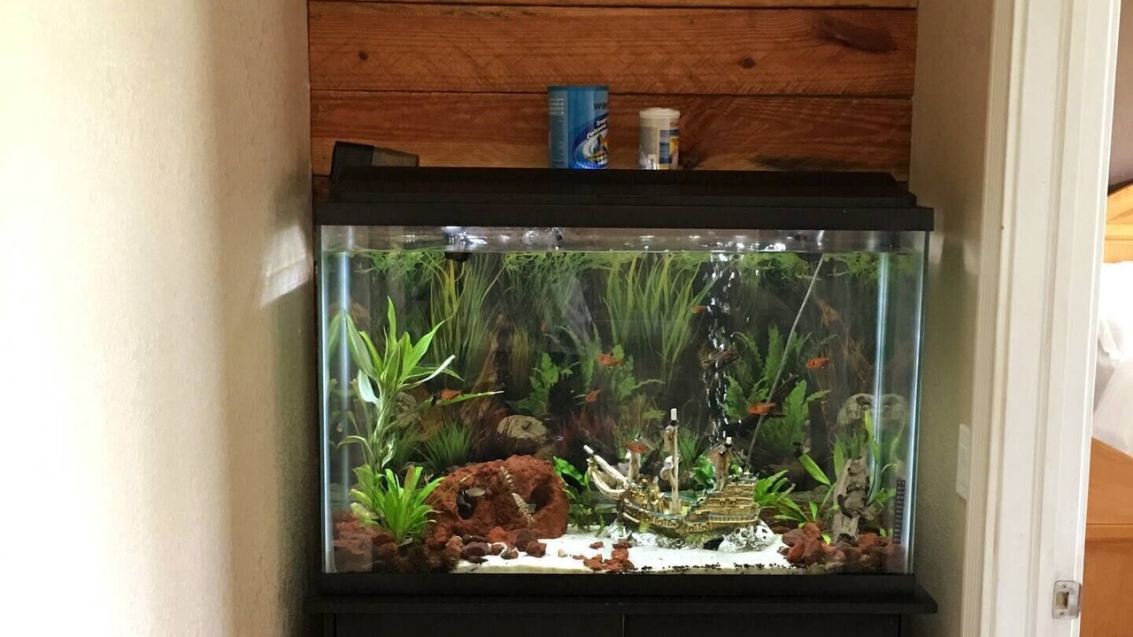 Photo of Others in Punta Gorda