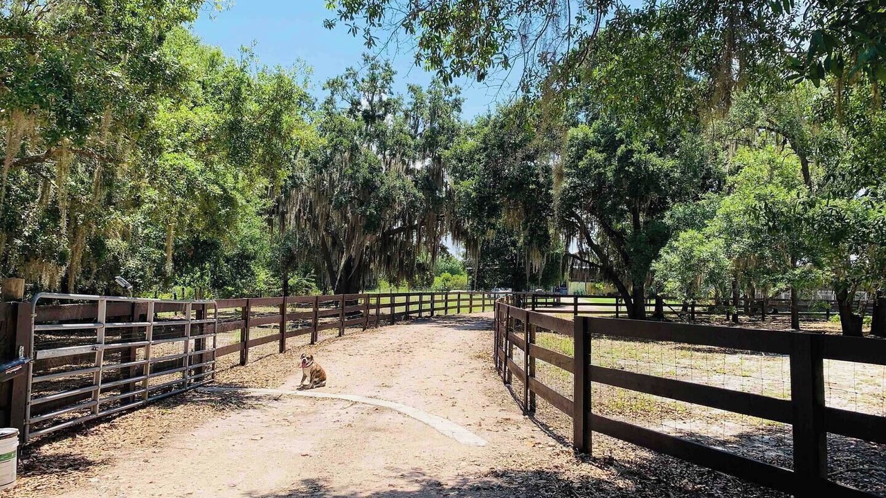 Photo of Outdoor in Punta Gorda